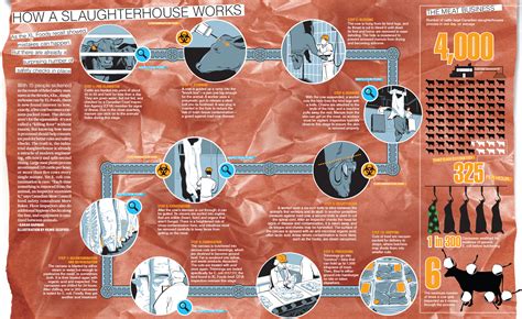 How a Slaughterhouse Works