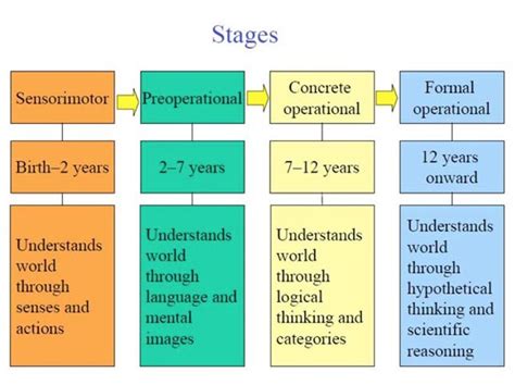 Image result for human development theories chart | Learning theory ...