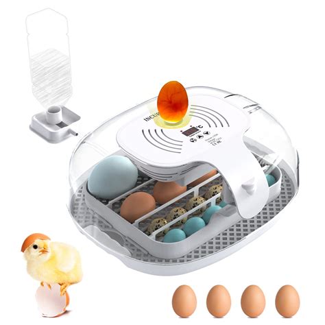 Chicken Egg Incubator: How to Choose the Right One for Your Needs