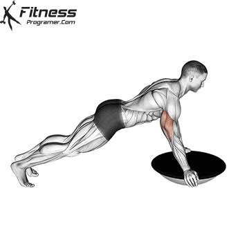 How To Do Bosu Ball Push-Up | Muscles Worked And Benefits