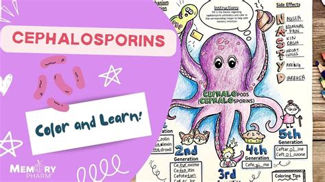 Cephalosporin Antibiotics Made Easy (Mnemonics, Mechanism of Action ...