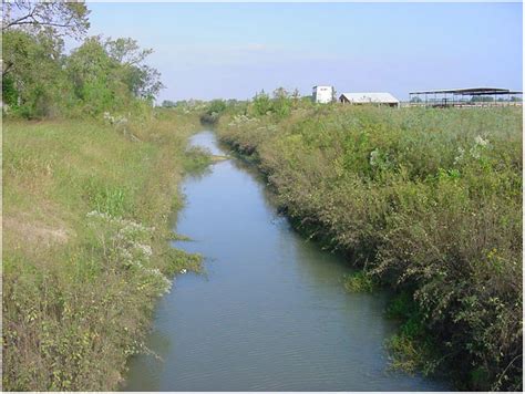 Around Baytown3 - Bar ditch between Mt. Belvieu and Dayton Texas