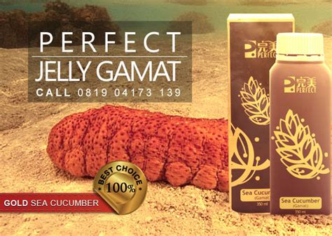 Jelly Gamat - Perfect Jelly Gamat