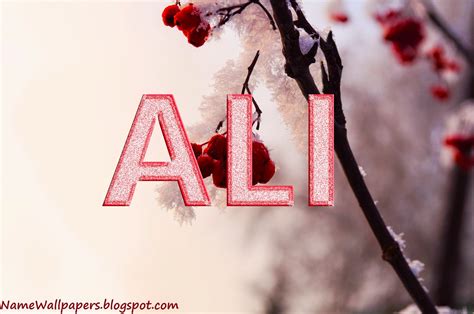 Ali Name Wallpaper Ali ~ Name Wallpaper Urdu Name Meaning Name Images ...