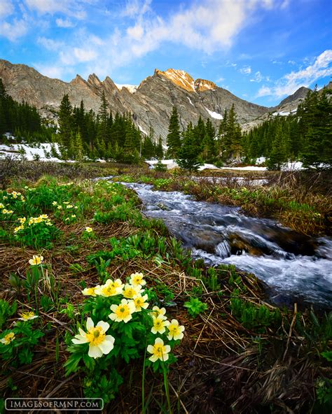 Mountains in Spring - campestre.al.gov.br