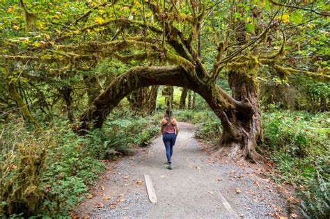 Young Woman on Hoh Rain Forest Trail in Olympic National Park ...