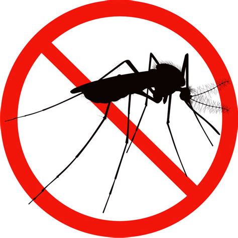 Mosquito Control | AAI Pest Control Blog