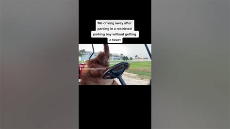 Orangutan driving golf cart (meme) - YouTube