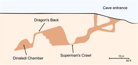 Dinaledi Chamber, Rising Star Cave (Illustration) - World History ...