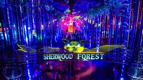 Electric Forest | Festivals | Escapism