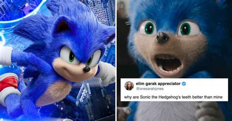 Live Action Sonic The Hedgehog Memes Sonic Funny Sonic Fan | The Best ...