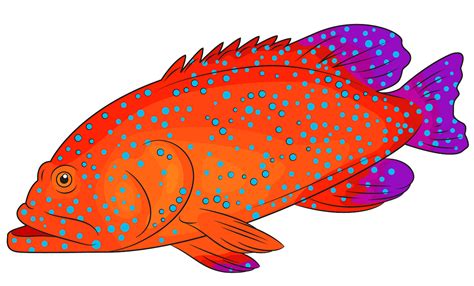 grouper clipart 10 free Cliparts | Download images on Clipground 2024