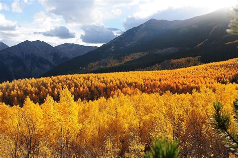 The Highest Peaks of the Rocky Mountains - WorldAtlas.com