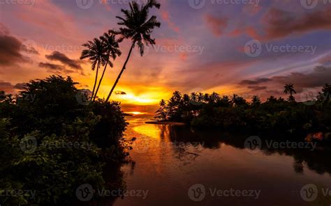 Dramatic sunset at river with silhouette of trees 20807665 Stock Photo ...