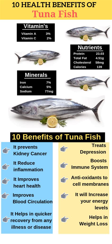 7 Special Health Benefits of Tuna Fish, You must to know - My Health Only