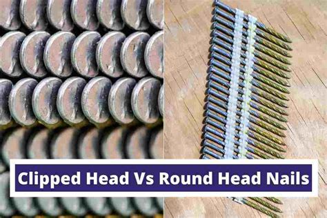 Clipped Head Vs. Round Head Nails (Explained for Beginners) - ToolVisit