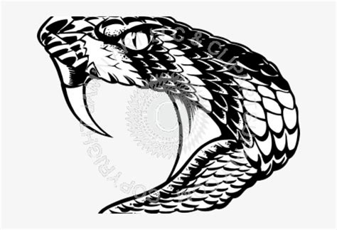 Snake Head Draw Transparent PNG - 640x480 - Free Download on NicePNG