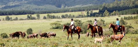 Mlilwane Wildlife Sanctuary | Swaziland | Wild Safari Guide