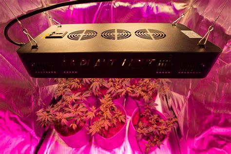 E900 Full Spectrum Led Grow Light - MSA