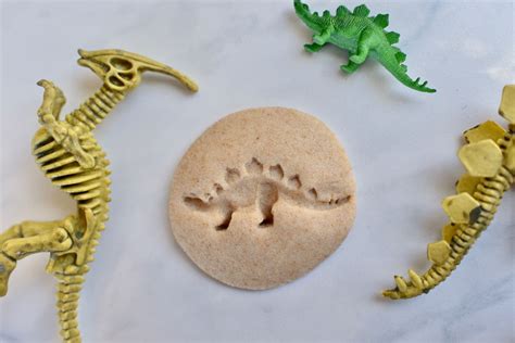 Animal Fossils For Kids