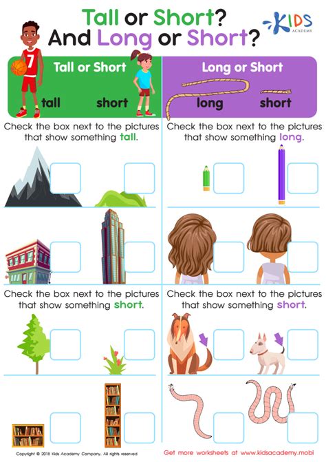 Tall or Short and Long or Short? Worksheet for kids - Answers and ...