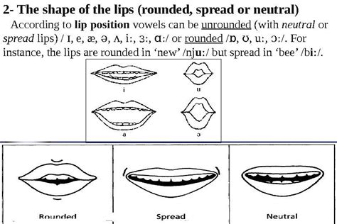 Mohammed Kheider University English Department Module: English Phonetics