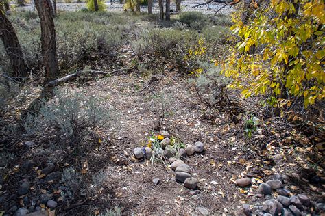 Harrowing Gabby Petito crime scene photos from camp where she was found ...