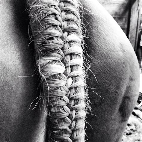 Braided tail!