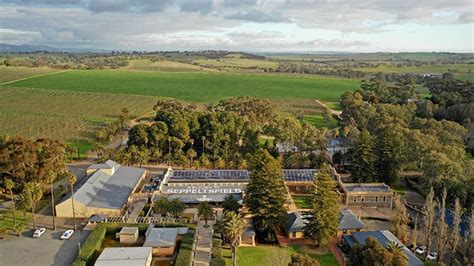 Segway Tour, 90 Minutes - Barossa Valley - Adrenaline