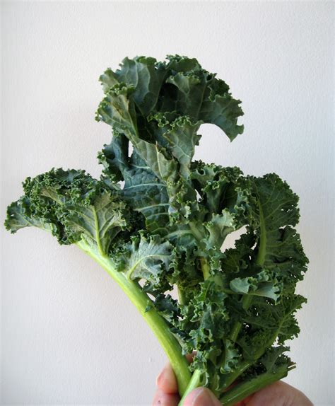 Ingredient 911: Kale, a Superfood | The Foodie Physician