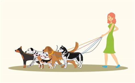 Dog Walker Clip Art, Vector Images & Illustrations - iStock