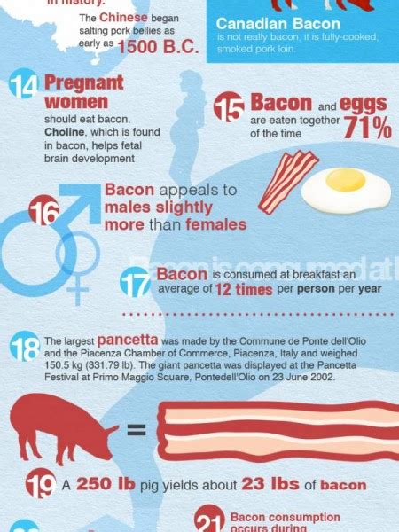 Infographic - 25 Facts About....BACON! - The WOD Life