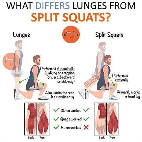 Lunges vs split squats difference.... | Squats and lunges, Leg training ...