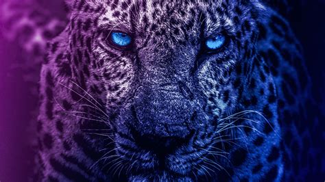 Lion Wallpaper 4k Download - Free Hd Wallpaper 4K II