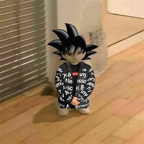 goku drip cat Blank Template - Imgflip