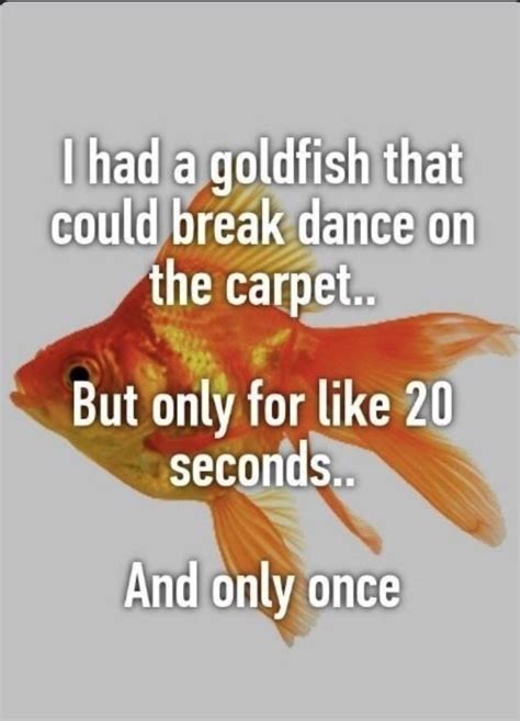 The best Goldfish memes :) Memedroid