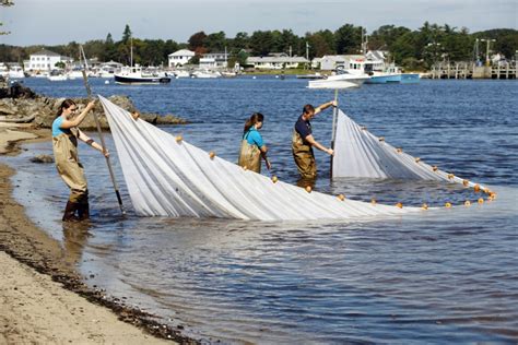 Marine Science Research at UNE | University of New England in Maine