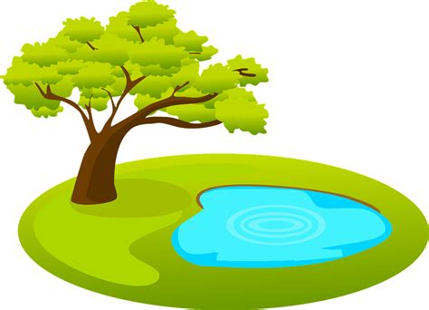 Pond Tree Water · Free vector graphic on Pixabay