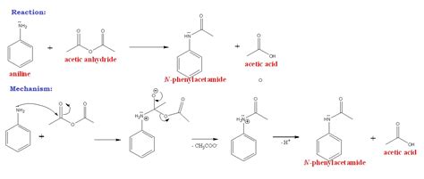 Mechanism Of Acetanilide From Aniline Hydrolysis Of | sexiezpix Web Porn