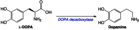 Levodopa/Carbidopa - Stepwards