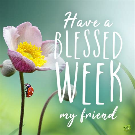 Have a Blessed Week with Beautiful Flowers