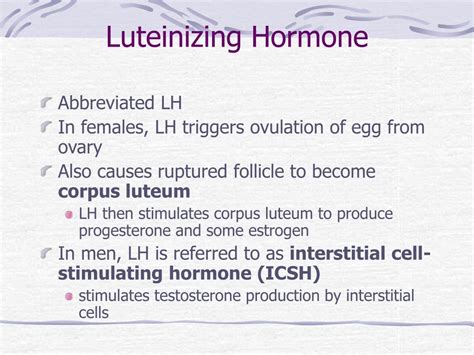 PPT - Chapter 9 The Endocrine System PowerPoint Presentation, free ...