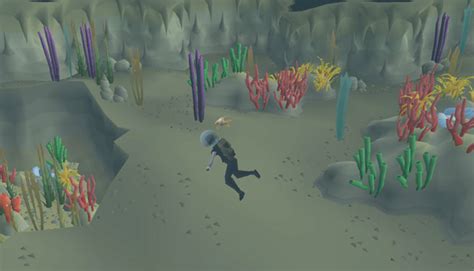 Where Do You Get Giant Seaweed in OSRS? – FandomSpot