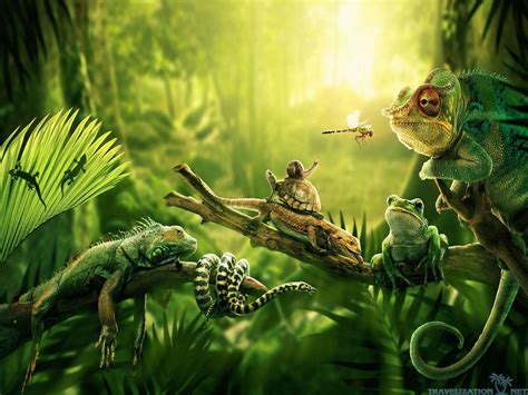 Jungle Animal Wallpaper (49+ images)