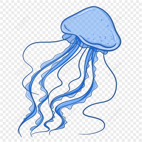 Jellyfish, Mushroom Jellyfish, Marine Life, Jellyfish PNG Transparent ...