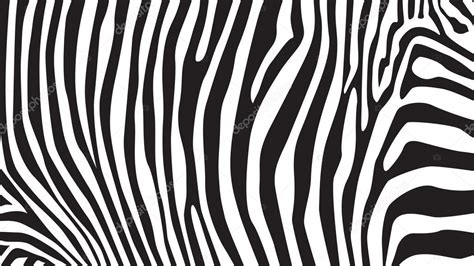 Zebra Stripes Background