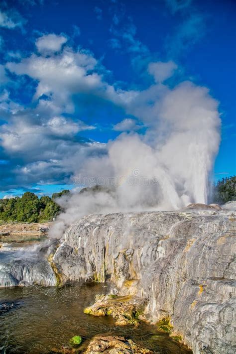 Pohutu Geyser in Te Puia, New Zealand Stock Image - Image of outdoors ...