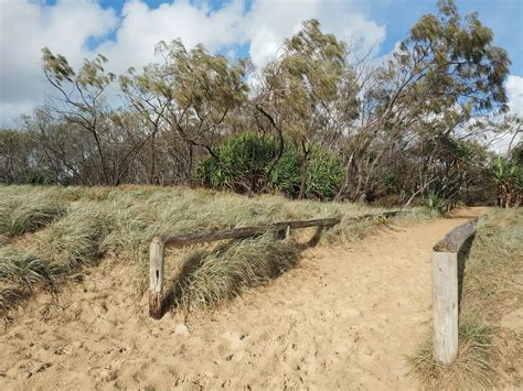 Warana Beach - Surf Conditions, Tide Times, Weather, Accommodation, Qld