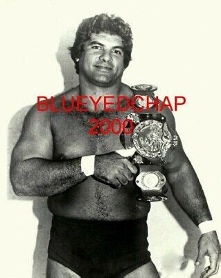 DON MURACO WRESTLER 8 X 10 WRESTLING PHOTO WWF NWA | eBay