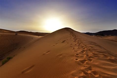 Sunrise Desert Morocco - Free photo on Pixabay